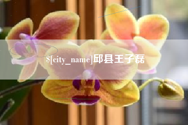 霸州邱县王子磊