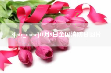 霸州11月9日全国消防日图片