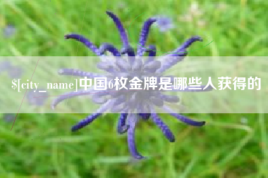 霸州中国6枚金牌是哪些人获得的