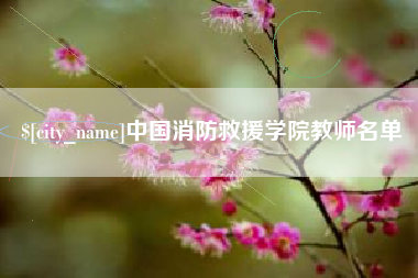 霸州中国消防救援学院教师名单
