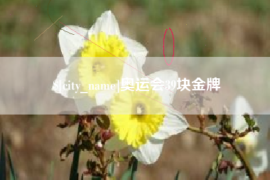 霸州奥运会39块金牌