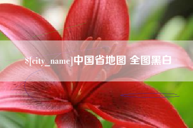 霸州中国省地图 全图黑白