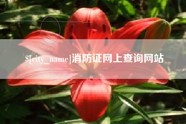 霸州消防证网上查询网站