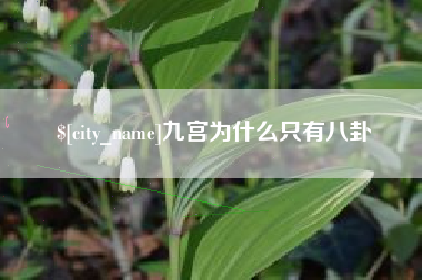 霸州九宫为什么只有八卦