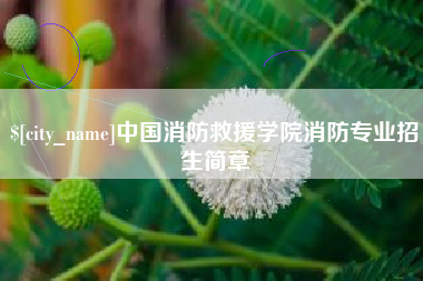霸州中国消防救援学院消防专业招生简章
