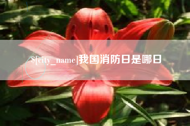 霸州我国消防日是哪日