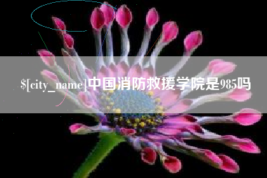 霸州中国消防救援学院是985吗