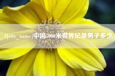 霸州中国5000米世界纪录男子多少