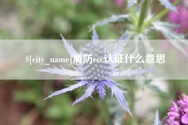 霸州消防ccc认证什么意思