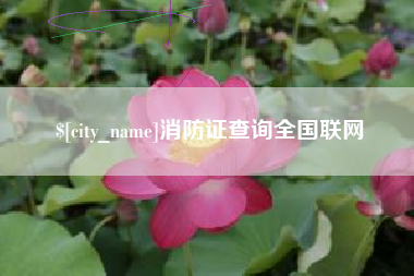 霸州消防证查询全国联网