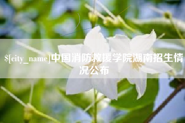霸州中国消防救援学院湖南招生情况公布