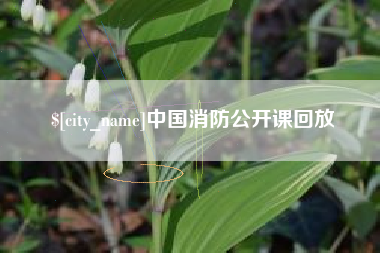 霸州中国消防公开课回放