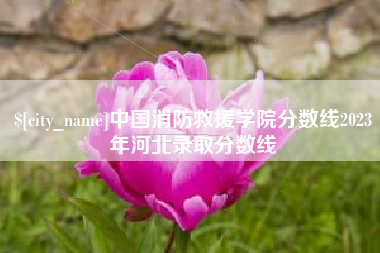 霸州中国消防救援学院分数线2023年河北录取分数线