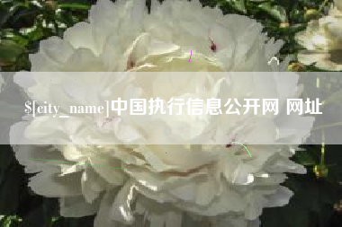 霸州中国执行信息公开网 网址