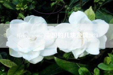 霸州中国的几块金牌2021