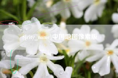 霸州中国地图像素版
