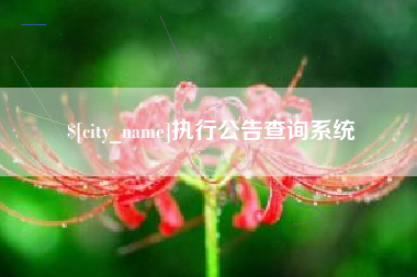 霸州执行公告查询系统