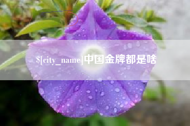 霸州中国金牌都是啥