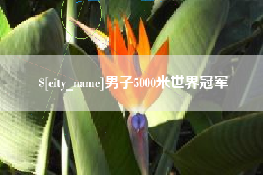 霸州男子5000米世界冠军