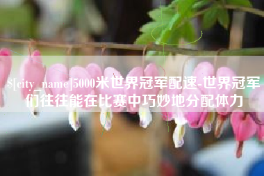 霸州5000米世界冠军配速-世界冠军们往往能在比赛中巧妙地分配体力