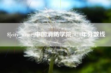霸州中国消防学院2024年分数线