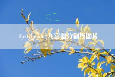 霸州九宫图分割线图片