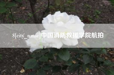 霸州中国消防救援学院航拍