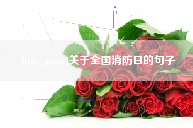 霸州关于全国消防日的句子