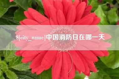 霸州中国消防日在哪一天