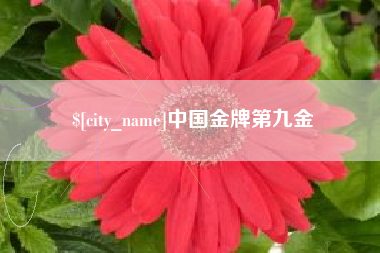 霸州中国金牌第九金