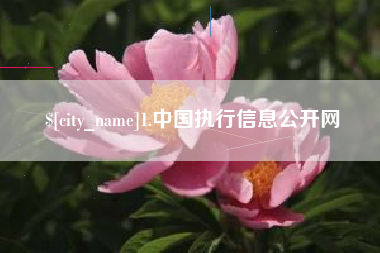 霸州1.中国执行信息公开网