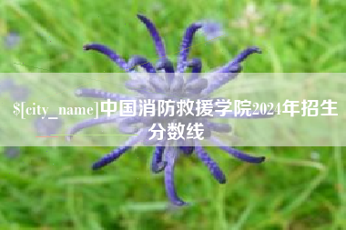霸州中国消防救援学院2024年招生分数线