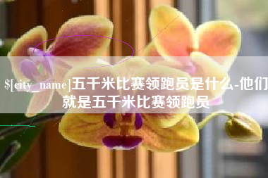 霸州五千米比赛领跑员是什么-他们就是五千米比赛领跑员