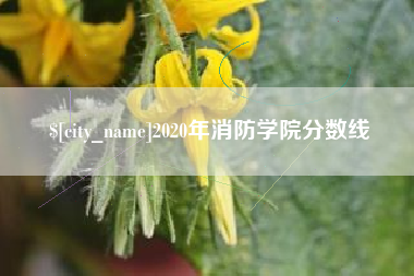 霸州2020年消防学院分数线