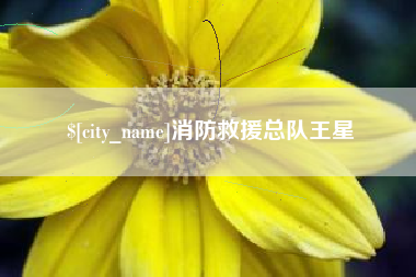 霸州消防救援总队王星