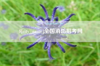 霸州全国消防招考网