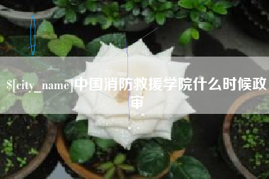 霸州中国消防救援学院什么时候政审