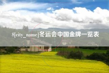 霸州冬运会中国金牌一览表