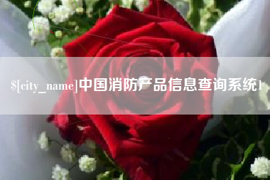 霸州中国消防产品信息查询系统1