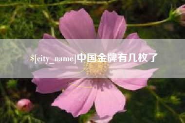霸州中国金牌有几枚了