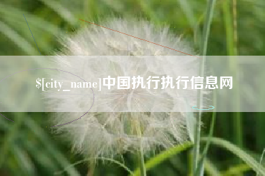 霸州中国执行执行信息网
