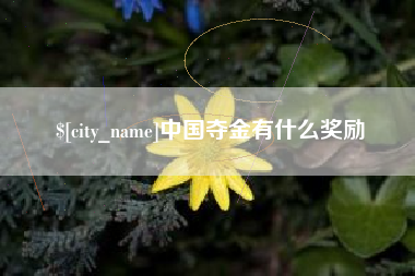霸州中国夺金有什么奖励