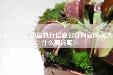 霸州中国执行信息公开网官网app为什么要钱呢