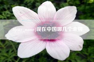 霸州现在中国哪几个金牌