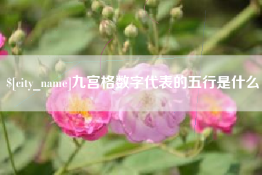 霸州九宫格数字代表的五行是什么