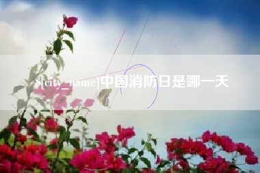 霸州中国消防日是哪一天