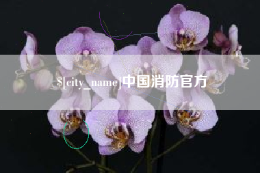 霸州中国消防官方