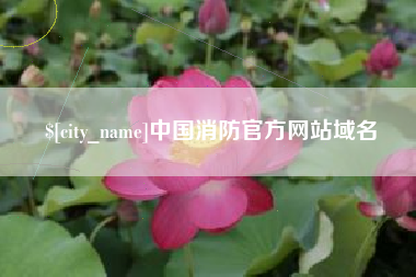 霸州中国消防官方网站域名