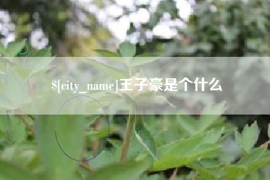霸州王子豪是个什么