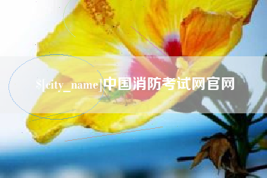 霸州中国消防考试网官网